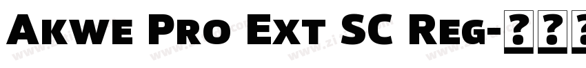 Akwe Pro Ext SC Reg字体转换